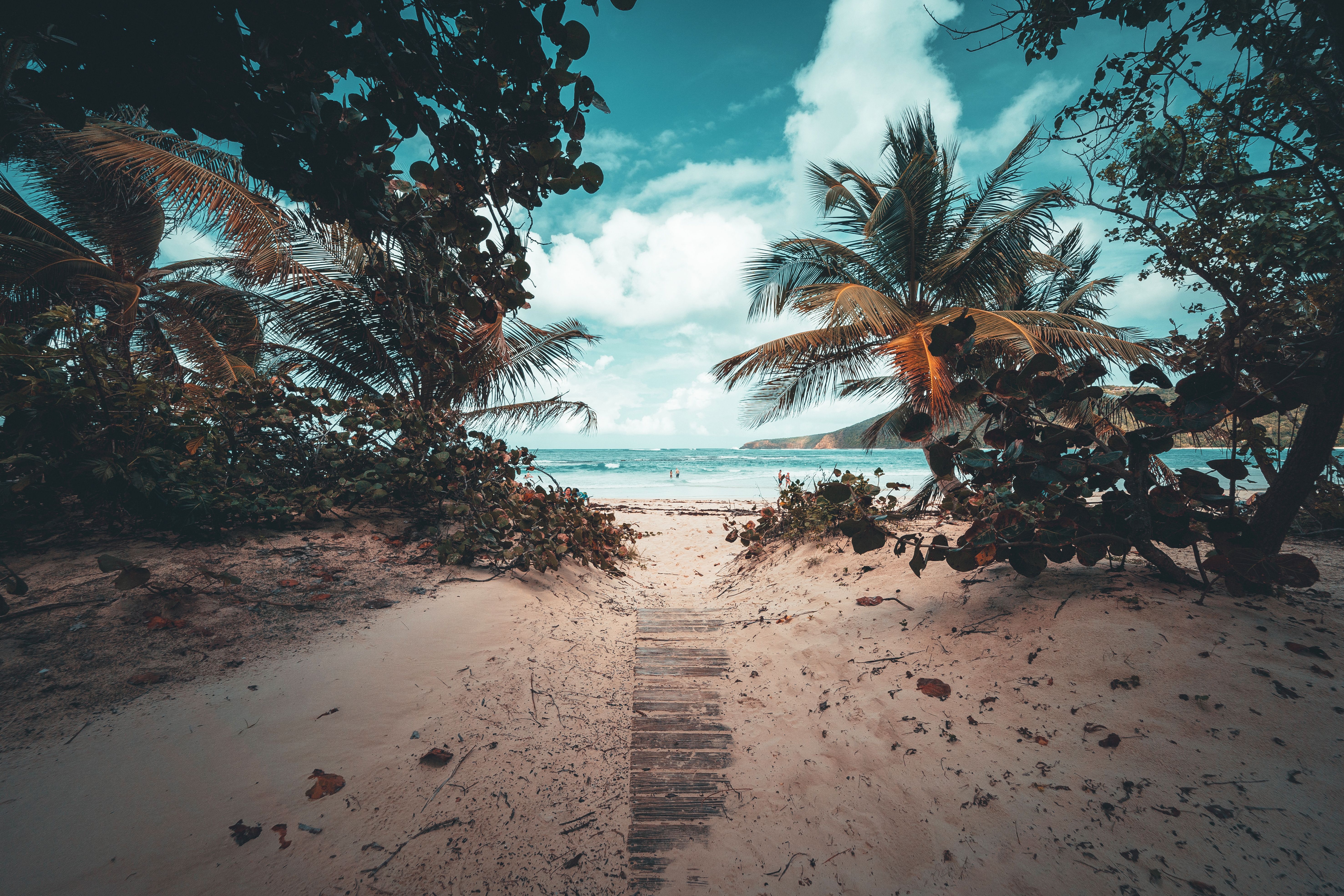 Safari & Beach Escapes