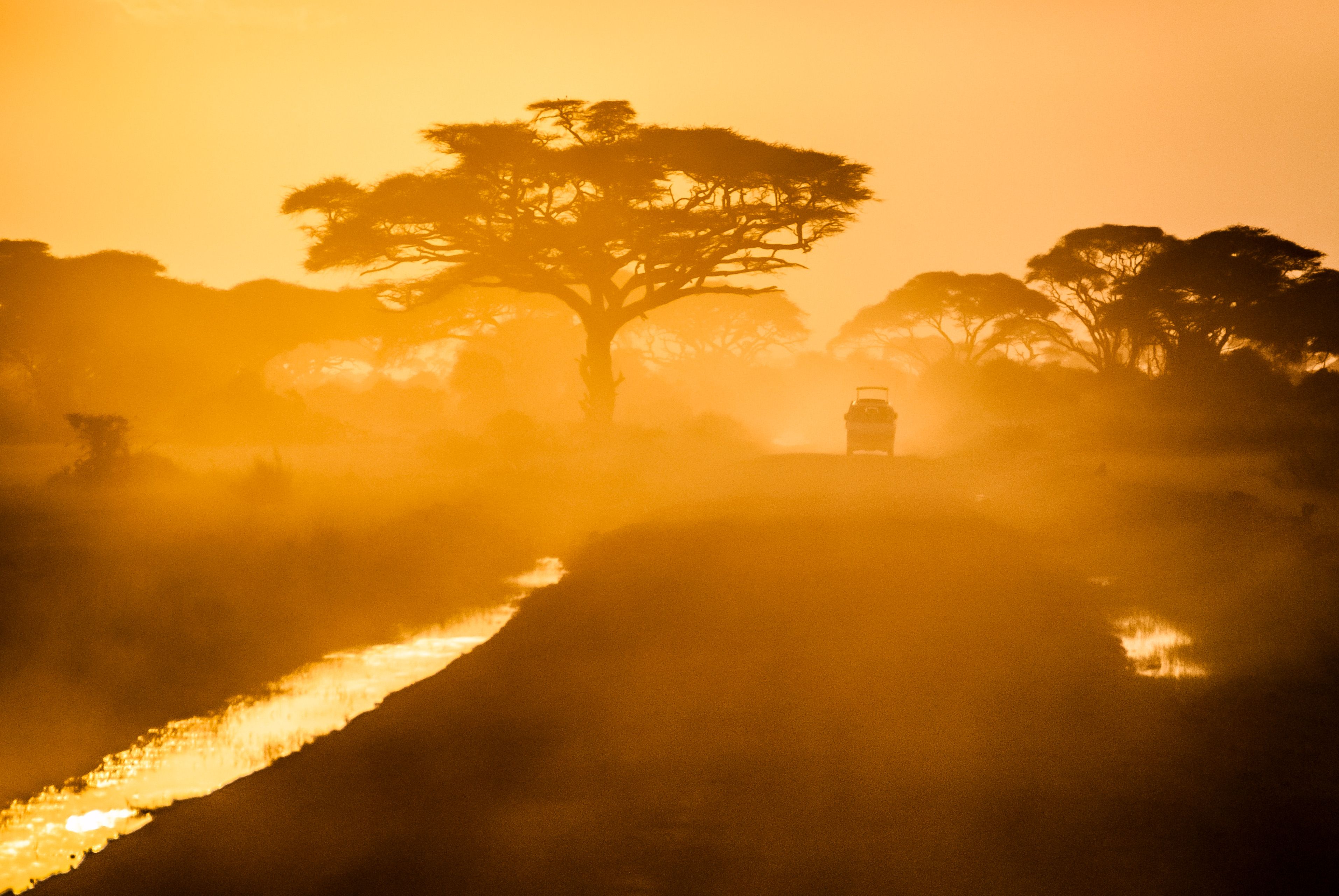 Safari guide