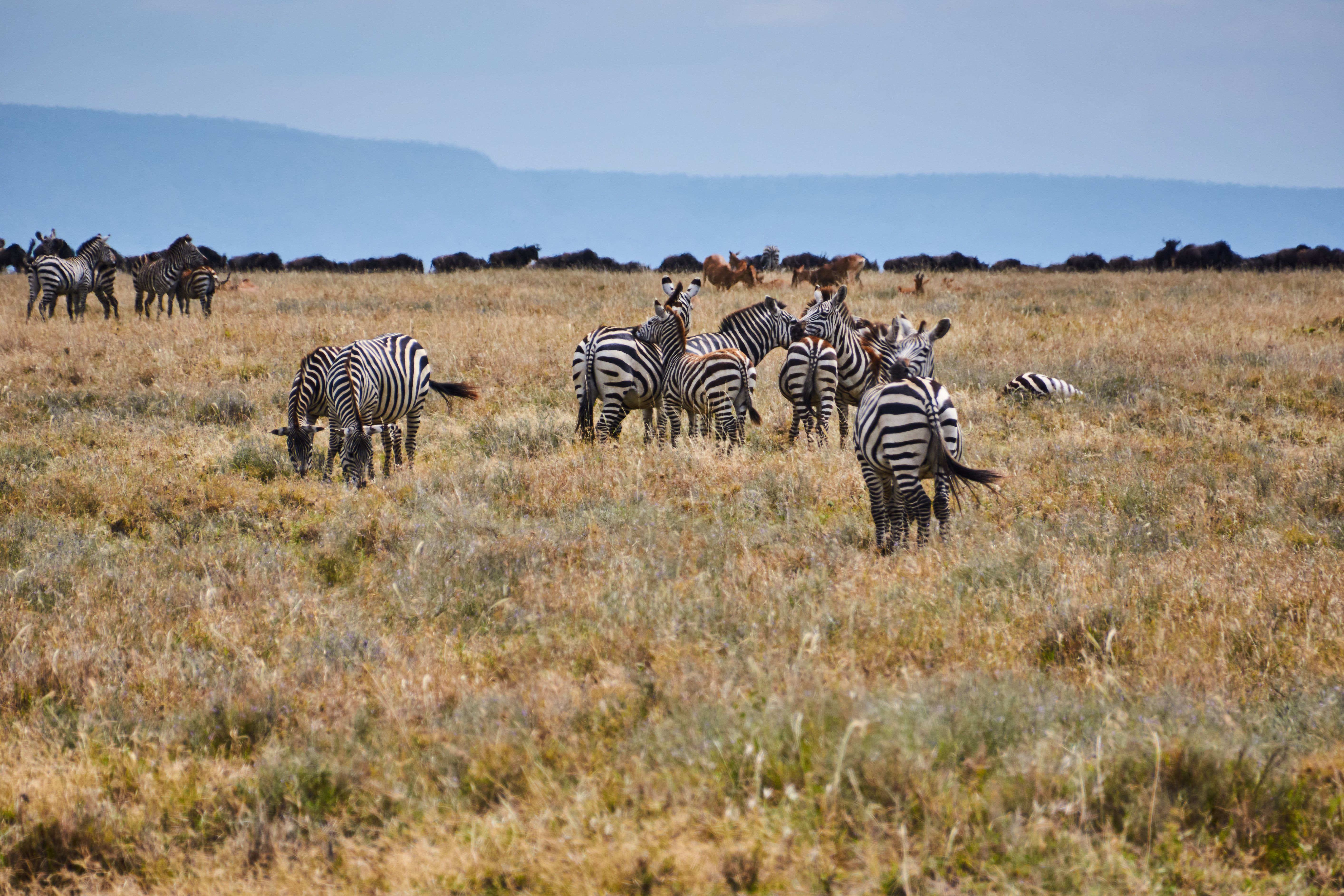 Maasai Mara National Reserve