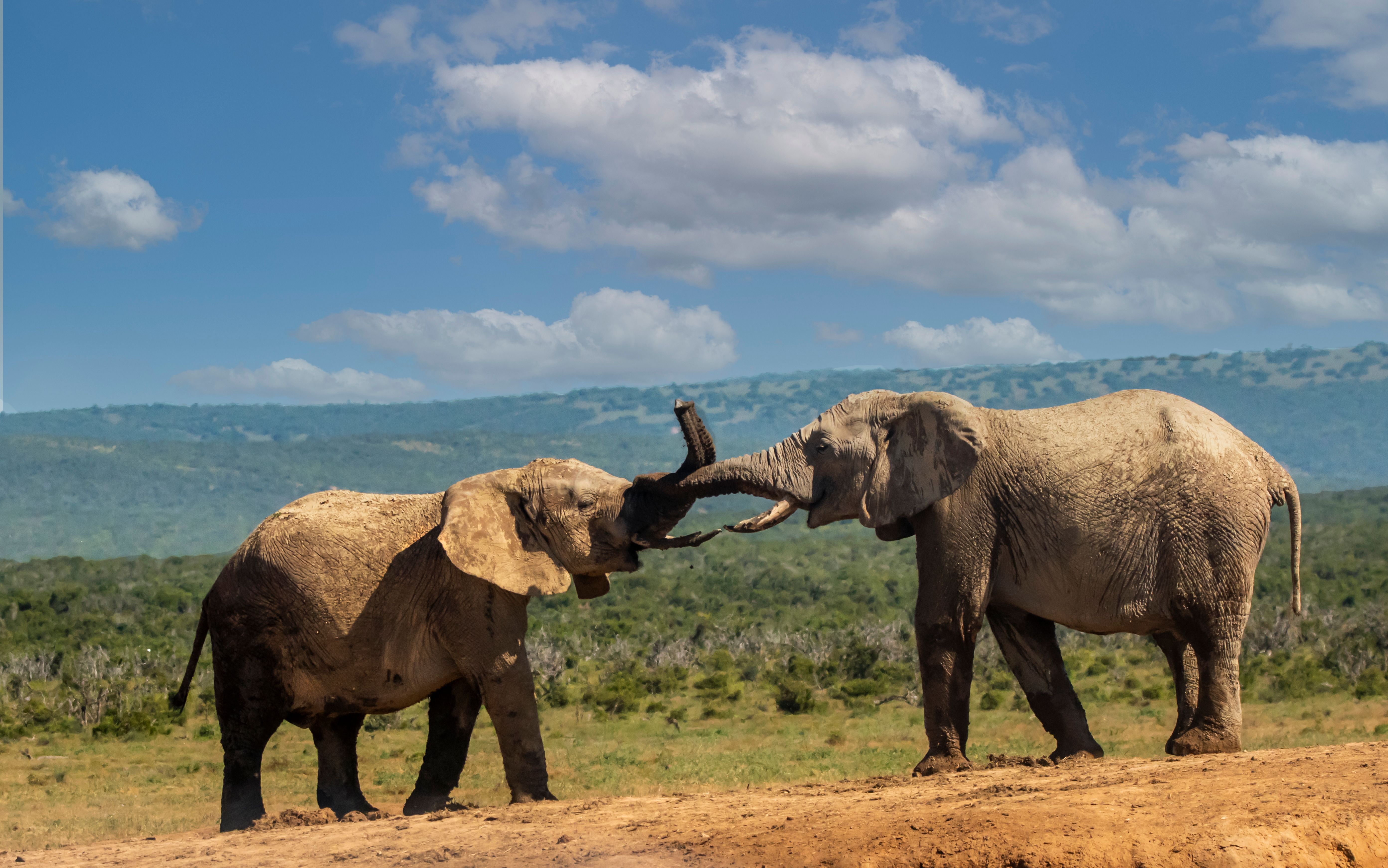 Tsavo East National Park